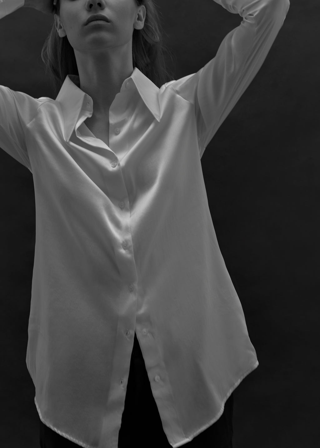 THE SILK BLOUSE